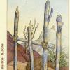 six-wands