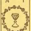 ten-cups