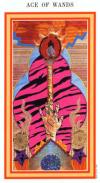 ace-wands