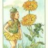 two-pentacles