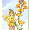 six-pentacles