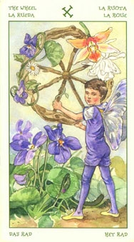 fortune-wheel
