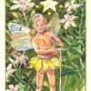 花之精灵塔罗牌 Spirit of Flowers Tarot