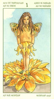 ace-pentacles
