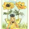 花之精灵塔罗牌 Spirit of Flowers Tarot