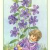 花之精灵塔罗牌 Spirit of Flowers Tarot