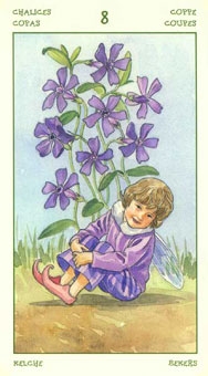 eight-cups
