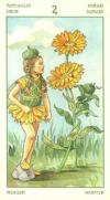 two-pentacles