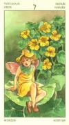 seven-pentacles