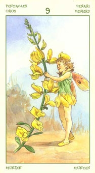 nine-pentacles