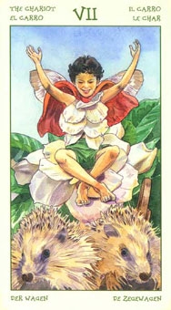 chariot