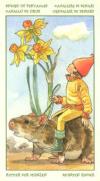 花之精灵塔罗牌 Spirit of Flowers Tarot