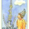 page-pentacles