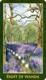 eight-wands