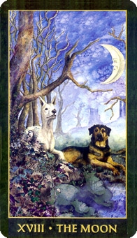 moon