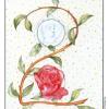 two-pentacles