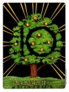 ten-pentacles