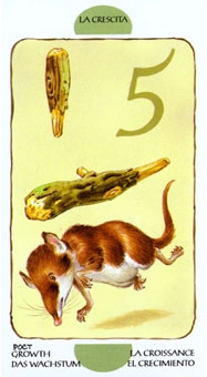 five-wands