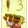 矮人精灵塔罗牌 Tarot of the Gnomes