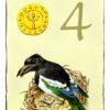 four-pentacles