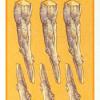 six-wands
