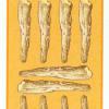 ten-wands