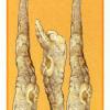 three-wands
