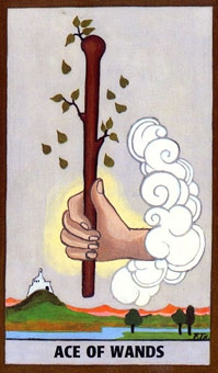 ace-wands