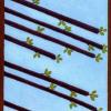 eight-wands