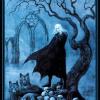 knight-pentacles
