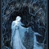 nine-pentacles