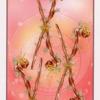 six-wands