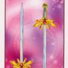 two-swords