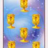 seven-cups