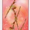 four-wands