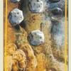 eight-pentacles