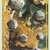 seven-pentacles