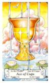 ace-cups