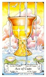 ace-cups