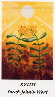 sun