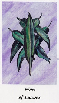 five-wands