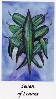 seven-wands
