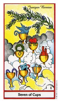seven-cups