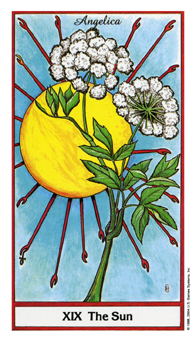 sun