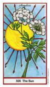 sun