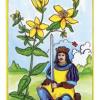 草药塔罗牌 Herbal Tarot