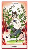 devil