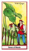 seven-wands