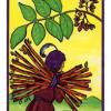 草药塔罗牌 Herbal Tarot