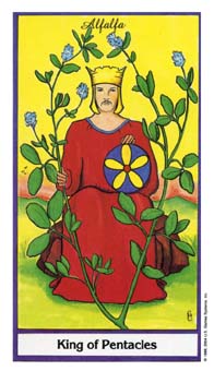 king-pentacles